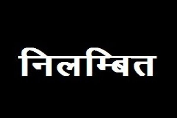 मादा हाथी की मृत्यु : वनमंडलाधिकारी को कारण बताओ नाटिस और चार अधिकारियों का निलम्बन आदेश जारी