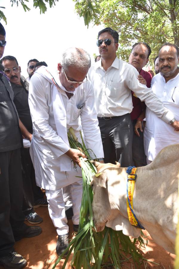 “रोका-छेका” से बचेगी फसल, बढ़ेगी आय, पशुधन की भी होगी अच्छी देखभाल