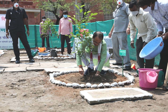 मध्यप्रदेश : विश्व पर्यावरण दिवस पर मुख्यमंत्री चौहान ने किया पौधारोपण