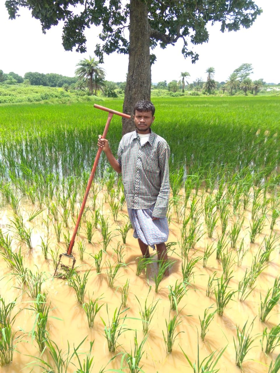 जगदलपुर : आधुनिक तकनीक और जैविक खेती से मिला किसान संतु को आर्थिक लाभ