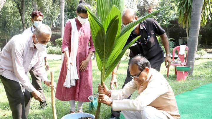 मुख्यमंत्री चौहान ने निवास परिसर में नारियल का पौधा रोपा