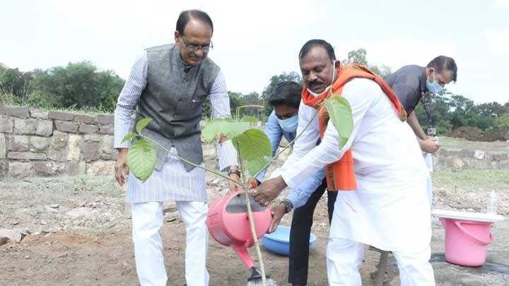 मुख्यमंत्री चौहान ने बादाम का पौधा रोपा