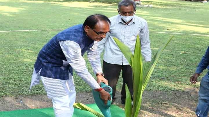 मुख्यमंत्री चौहान ने नारियल का पौधा रोपा