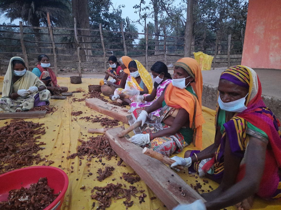 रायपुर : छत्तीसगढ़ सरकार की योजनाओं से आदिवासी क्षेत्रों में खुले खुशहाली के नये दरवाजे