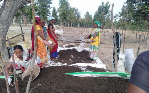 ‘‘रूरल इंडस्ट्रियल पार्क’’ के रूप में विकसित हो रहे  छत्तीसगढ़ के गौठान, 91.11 करोड़ रूपए के वर्मी कंपोस्ट की बिक्री