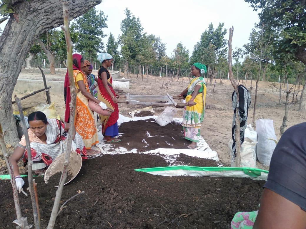 ‘‘रूरल इंडस्ट्रियल पार्क’’ के रूप में विकसित हो रहे  छत्तीसगढ़ के गौठान, 91.11 करोड़ रूपए के वर्मी कंपोस्ट की बिक्री