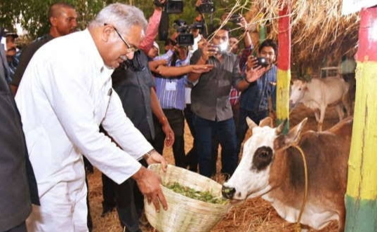 छत्तीसगढ़ सरकार चार रुपए लीटर में खरीदेगी गौमूत्र, 28 जुलाई हरेली के दिन से शुरू होगी खरीदी,