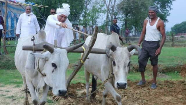 किसानों के लिए खुशखबरी, उद्यानिकी कृषकों को 3 लाख रूपए तक मिलेगा ब्याज मुक्त ऋण