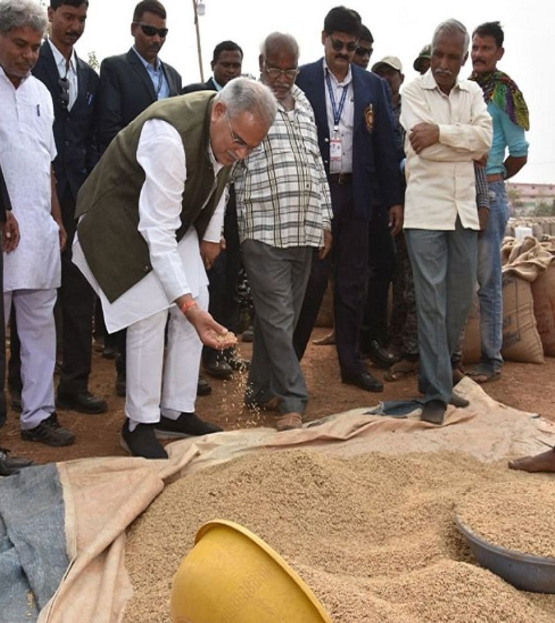 दिवाली के पहले किसानों को सीएम का बड़ा तोहफा,धान खरीदी के बाद अब समर्थन मूल्य में अरहर, मूंग एवं उड़द भी खरीदेगी सरकार