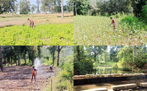 नदी-नालों के पुनर्जीवन से बदलने लगी लोगों की तकदीर