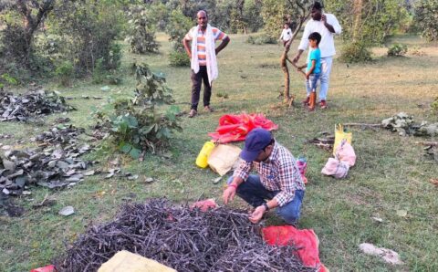 किसानों को बिना ब्याज के लाख की खेती के लिए मिलेगा ऋण
