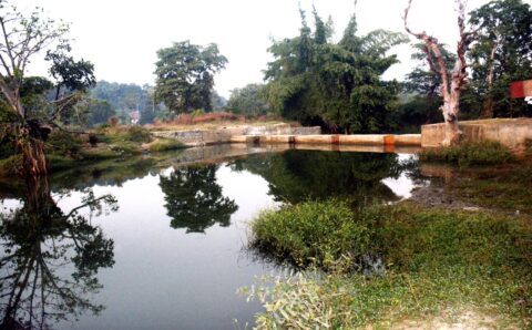 पहले यूँ ही बह जाता था पानी, नाला बंधान से किसानों की बढ़ गई आमदनी