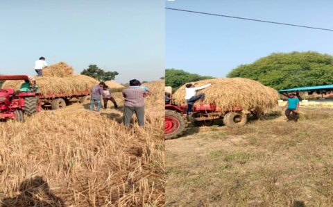 मुख्यमंत्री के आव्हान पर जिले के गोठानों में व्यापक पैमाने पर किसान कर रहे हैं पैरादान