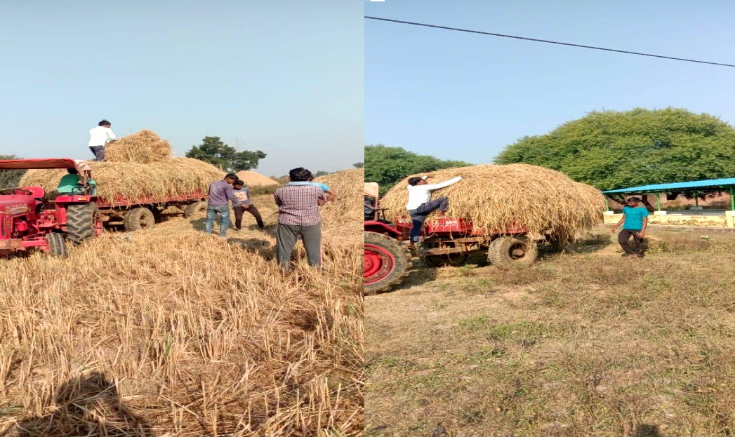 मुख्यमंत्री के आव्हान पर जिले के गोठानों में व्यापक पैमाने पर किसान कर रहे हैं पैरादान