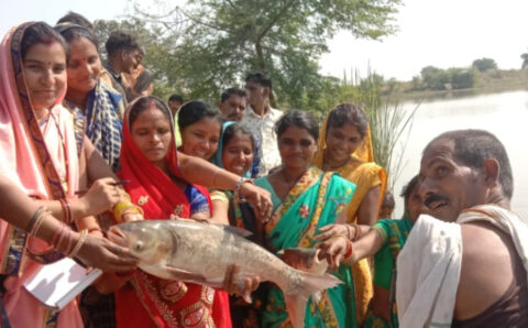 मछली पालन से स्व-सहायता समूह की महिलाओं को हो रहा लाभ