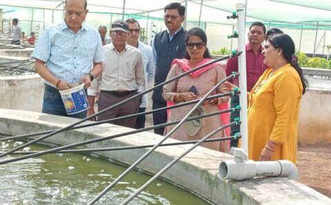 छत्तीसगढ़ में मछलियों के जेनेटिक्स में किया जा रहा अनुसंधान