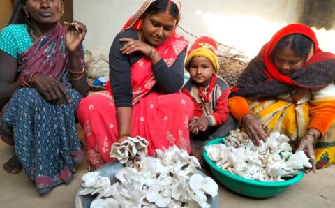 सोनमती ने लिखी आत्मनिर्भरता की नई कहानी