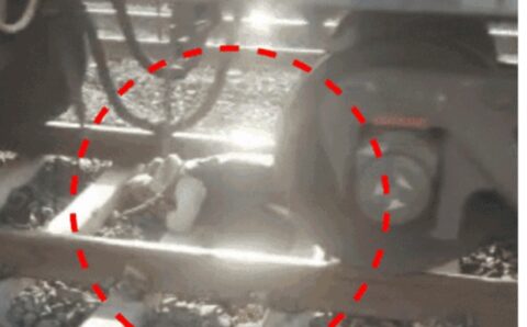 बुजुर्ग के ऊपर से गुजर गई मालगाड़ी,देखिए क्या हुआ उस बुजुर्ग को…..