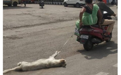 कुत्ते की मौत के बाद बेरहमी से गाड़ी से घसीटने….