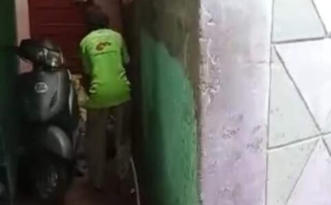 स्ट्रीट डॉग की डंडे से पीटकर हत्या,  वीडियो वायरल होने के बाद पीपुल्स फॉर एनिमल्स ने दर्ज कराया केस