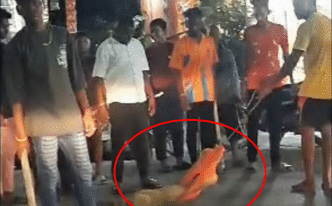 डॉगी को लाठी-डंडे से पीट-पीटकर मार डाला, पहले क्रूरता से पीटा, फिर गले में रस्सी बांधकर सड़क पर घसीटा, बगल से जा रही पुलिस देखती रही सब…