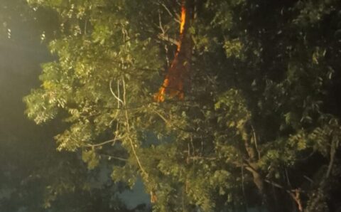 सूचना मिलने पर सही समय पर पहुंची डायल 112 की टीम ने गाड़ी की बोनट पर चढ़ पेड पर फांसी लगाए युवक की बचाई जान
