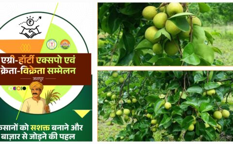 एग्री-हॉटी क्रेता-विक्रेता सम्मेलन 2025 का जशपुर में पहली बार होगा आयोजन, जैविक उत्पादों को मिलेगा राष्ट्रीय बाजार