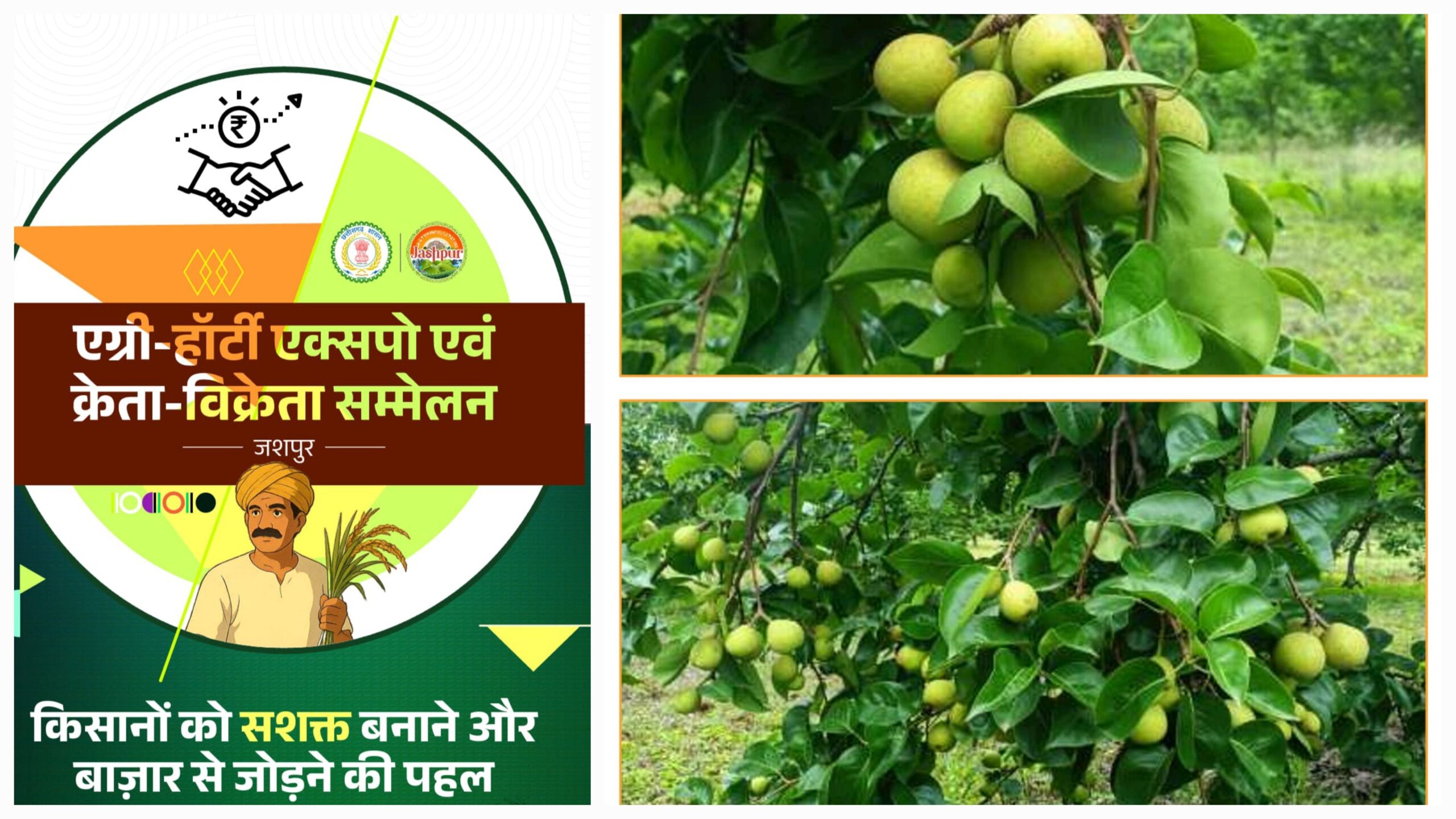 एग्री-हॉटी क्रेता-विक्रेता सम्मेलन 2025 का जशपुर में पहली बार होगा आयोजन, जैविक उत्पादों को मिलेगा राष्ट्रीय बाजार