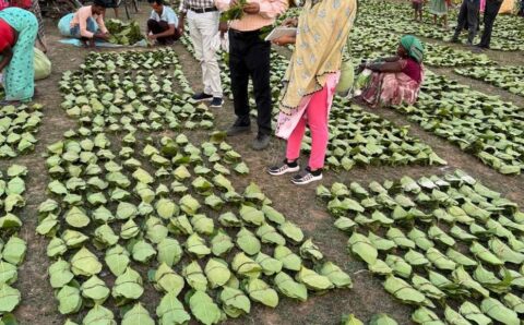 सीएम साय 21 जून को करेंगे प्रदेशव्यापी चरण पादुका योजना का शुभारंभ, जशपुर जिले के तपकरा से होगी शुरूआत