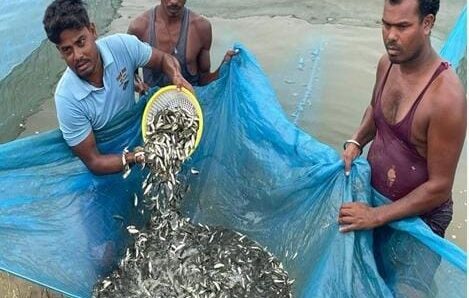 छत्तीसगढ़ का मत्स्य बीज हब बना कांकेर, उत्पादन और निर्यात के मामले में राज्य का है अग्रणी जिला