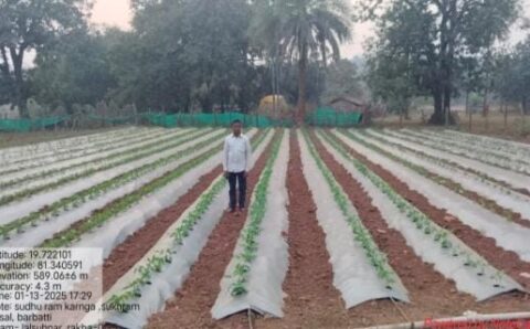 परंपरागत से आधुनिक खेती की ओर: लालसुहनार के साधूराम की कहानी बनी सैकड़ों किसानों के लिए मिसाल