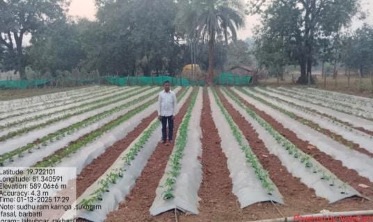 परंपरागत से आधुनिक खेती की ओर: लालसुहनार के साधूराम की कहानी बनी सैकड़ों किसानों के लिए मिसाल