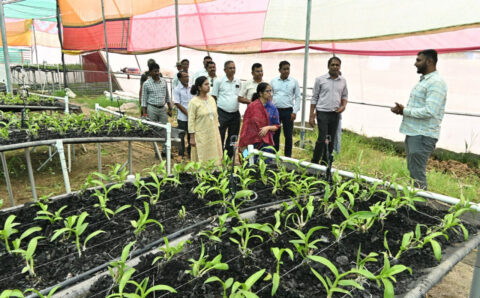 धमतरी में ग्रामीण बदलाव की नई कहानी — विकास की लिखी जा रही नई इबारत