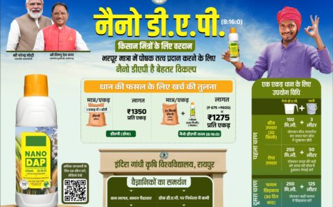 नैनो डीएपी : कम लागत, ज्यादा उत्पादन का स्मार्ट फार्मिंग विकल्प