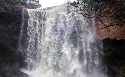 बारिश में बस्तर के प्राकृतिक सौंदर्य का अनुपम नजारासैलानियों के लिए मानसून ट्रैकिंग का विशेष आयोजन
