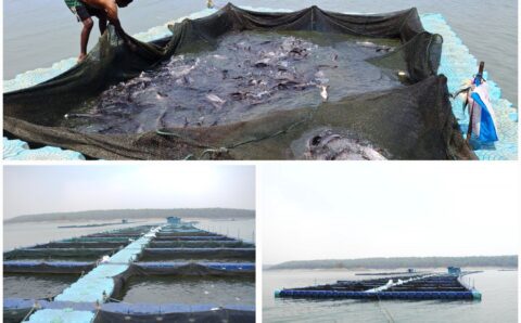 छत्तीसगढ़ में फिशरीज के नये युग की शुरूआत,हसदेव डुबान में बनेगा पहला एक्वा पार्क