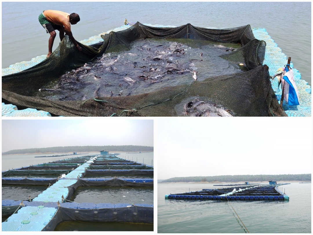 छत्तीसगढ़ में फिशरीज के नये युग की शुरूआत,हसदेव डुबान में बनेगा पहला एक्वा पार्क