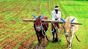 छत्तीसगढ़ में कृषि भूमि के बाजार मूल्य निर्धारण के नियमों में बड़ा बदलाव