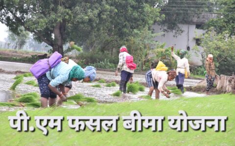 किसानों की फसलों के लिए सुरक्षा कवच