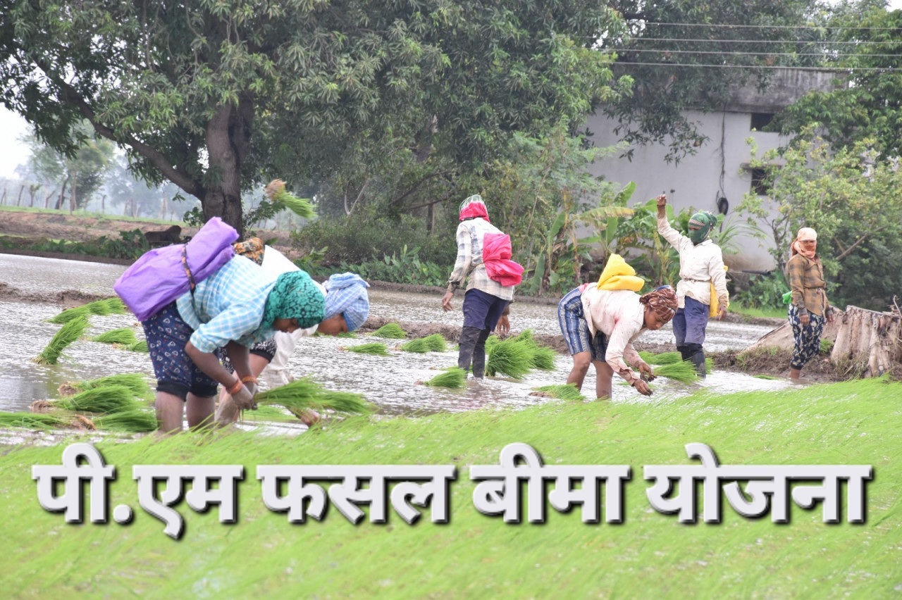 किसानों की फसलों के लिए सुरक्षा कवच