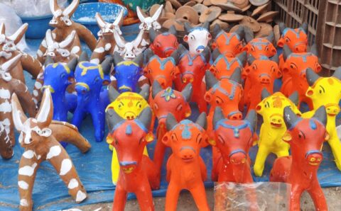 पशुधन के प्रति कृतज्ञता के साथ ही सामाजिक, सांस्कृतिक और पर्यावरणीय दृष्टि से भी महत्वपूर्ण है पोला