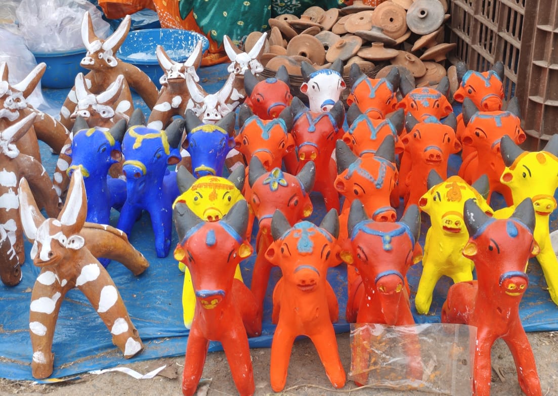 पशुधन के प्रति कृतज्ञता के साथ ही सामाजिक, सांस्कृतिक और पर्यावरणीय दृष्टि से भी महत्वपूर्ण है पोला