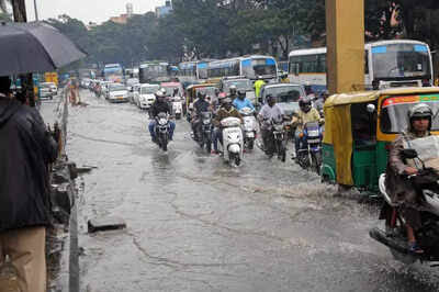 प्रदेश में अब तक 735.9 मि.मी. औसत वर्षा दर्ज