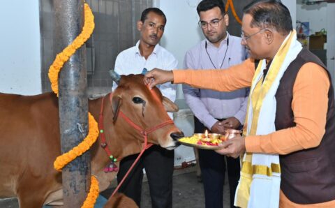 गोवर्धन पूजा के अवसर पर मुख्यमंत्री साय ने किया गौपूजन, प्रदेशवासियों की सुख-समृद्धि की कामना