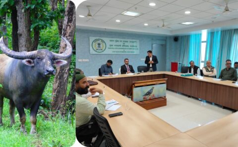 छत्तीसगढ़ में वन भैंसा संरक्षण एवं स्थानांतरण पर उच्च स्तरीय बैठक