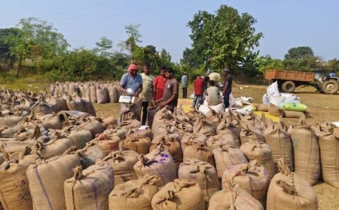 इस वर्ष 27.30 लाख किसान पंजीकृत, अब तक 22.25 लाख मीट्रिक टन धान की हो चुकी है खरीदी, धान खरीदी में 5277 करोड़ रूपए का भुगतान