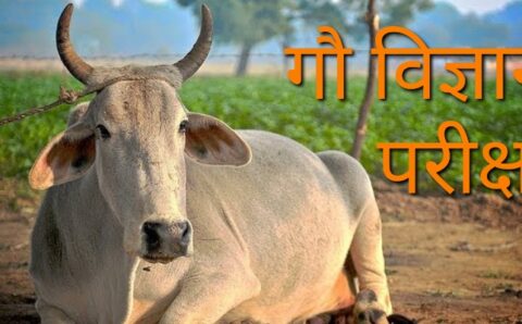 गौ विज्ञान परीक्षा एवं शाक वाटिका निर्माण के संबंध कार्यशाला सह समीक्षात्मक बैठक आयोजित