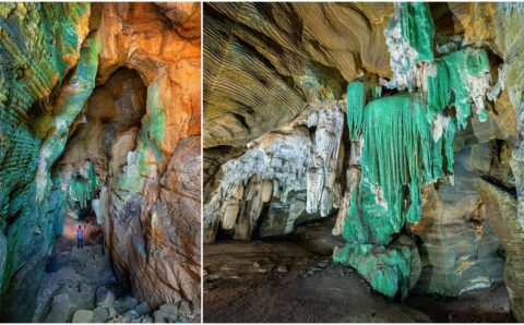 कांगेर घाटी में मिली अनोखी “ग्रीन गुफा”