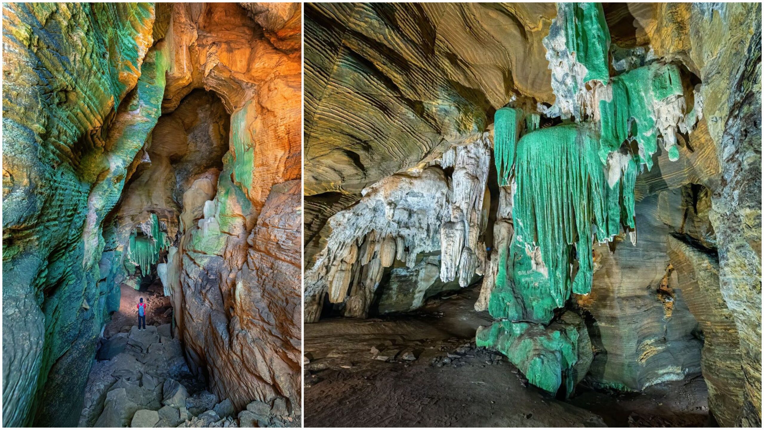 कांगेर घाटी में मिली अनोखी “ग्रीन गुफा”