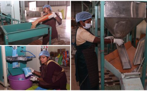 सशक्त मानसिकता से आत्मनिर्भरता की ओर- पोषण निर्माण में अहम भूमिका निभा रही हैं सूरजपुर की महिलाएं